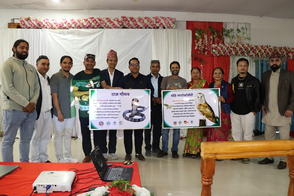 हेमजामा राजगोमनलाई ‘वडा सर्प’ र गोठे लाटोकोसेरोलाई ‘वडा पंक्षी’ घोषणा