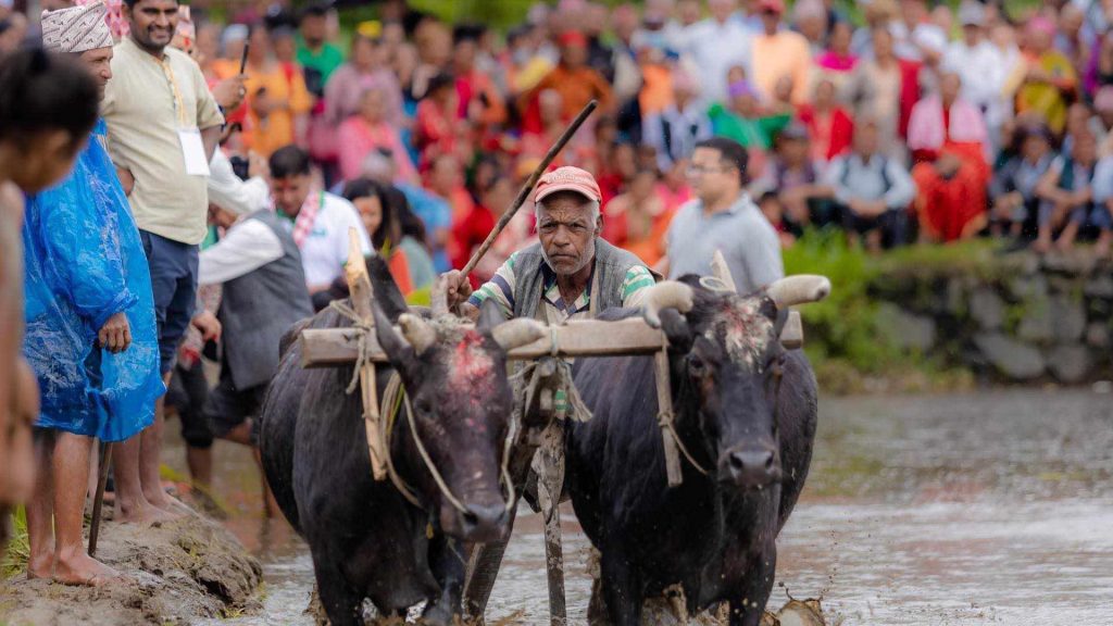 पाचौं हेमजा हिले महोत्सवको तयारी पुरा