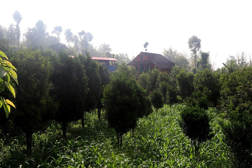 रौतहटमा चट्याङ लागेर एक जनाको मृत्यु