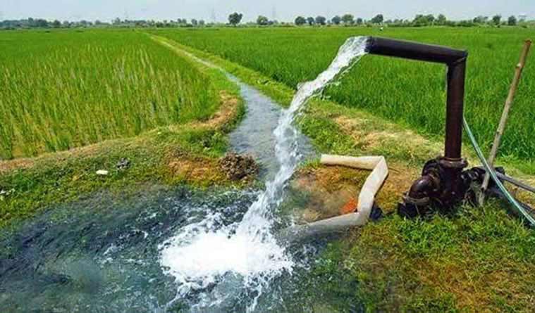 म्याग्दीमा २३ हेक्टरमा सिँचाइ सुविधा विस्तार