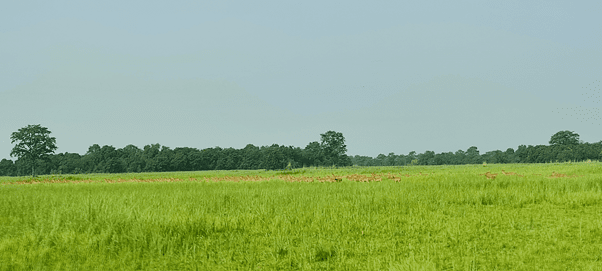 प्रचारप्रसार नहुँदा ओझेलमा शुक्लाफाँटा