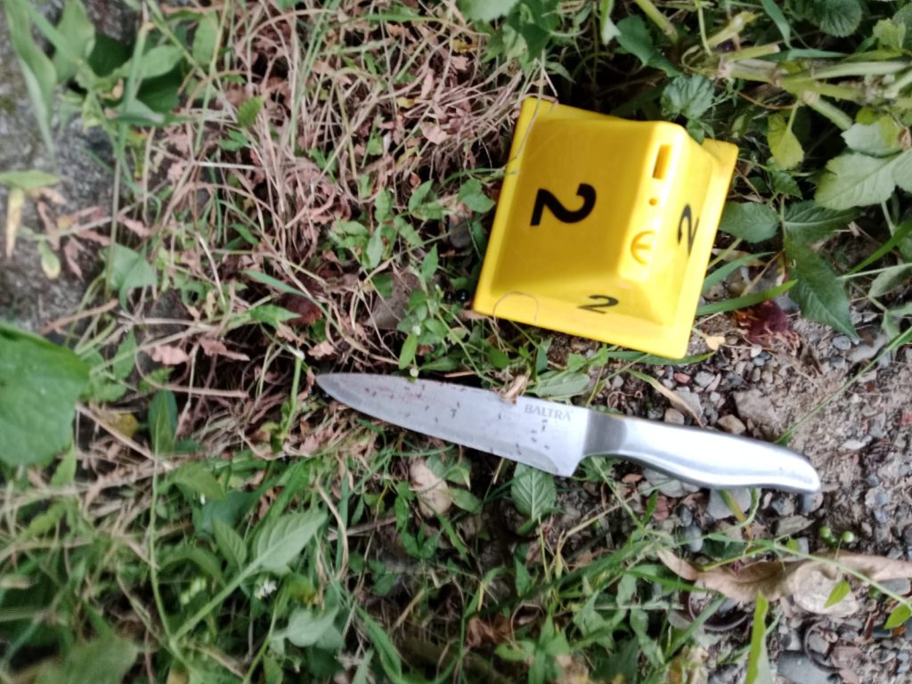 चक्कु प्रहारबाट पोखराको मालेपाटनका अनिल पराजुलीको निधन  ,आरोपी एकजना पक्राउ