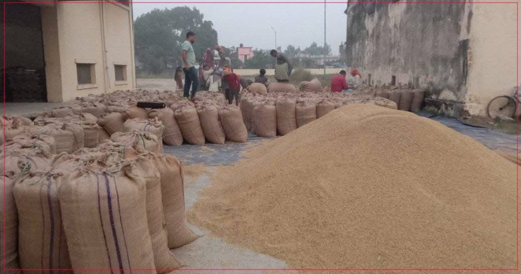 सरकारले तोकेको मूल्यमा किसानको धान खरिद गरिने