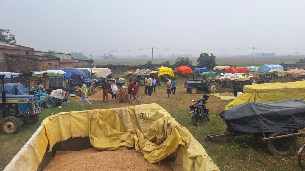 धान बेच्न रातभर लाइन बस्छन् किसान, खरिद प्रक्रियामा ढिलाइ