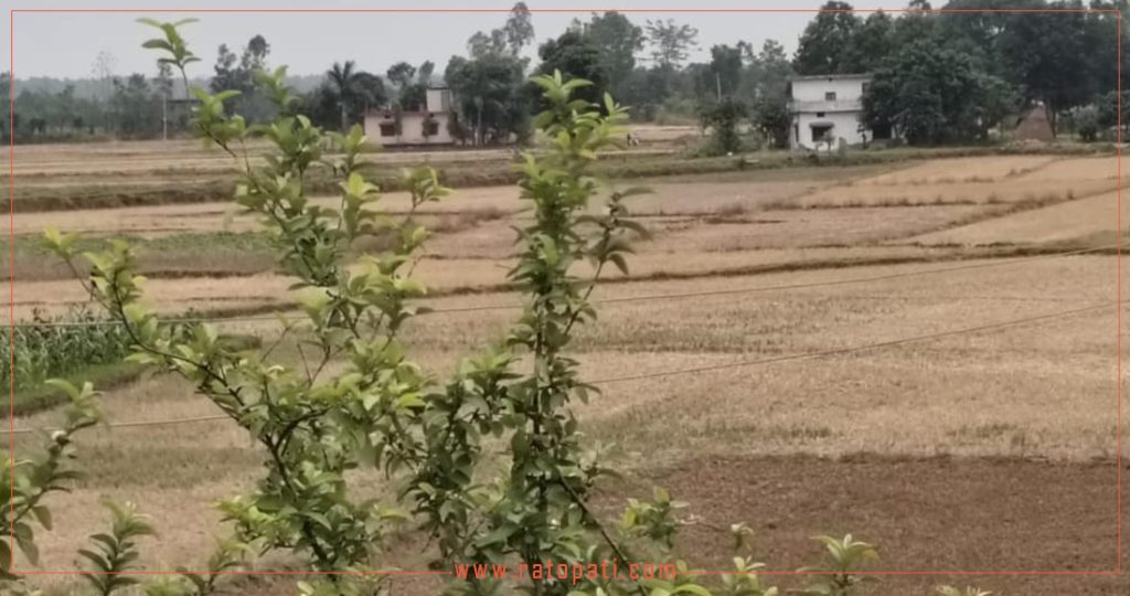 घरजग्गा कारोबार ओरालो लाग्दै, राजस्व सङ्कलन घट्यो