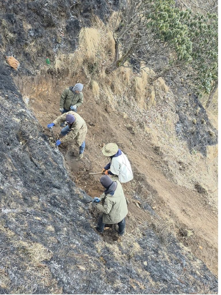 धौलागिरि आइसफल जोड्ने पदमार्ग बन्दै, निर्माण गर्न २० स्थानीयको जंगलमै बास
