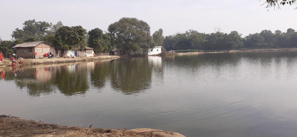 वन्यजन्तु संरक्षण गर्न कृत्रिम ताल निर्माण