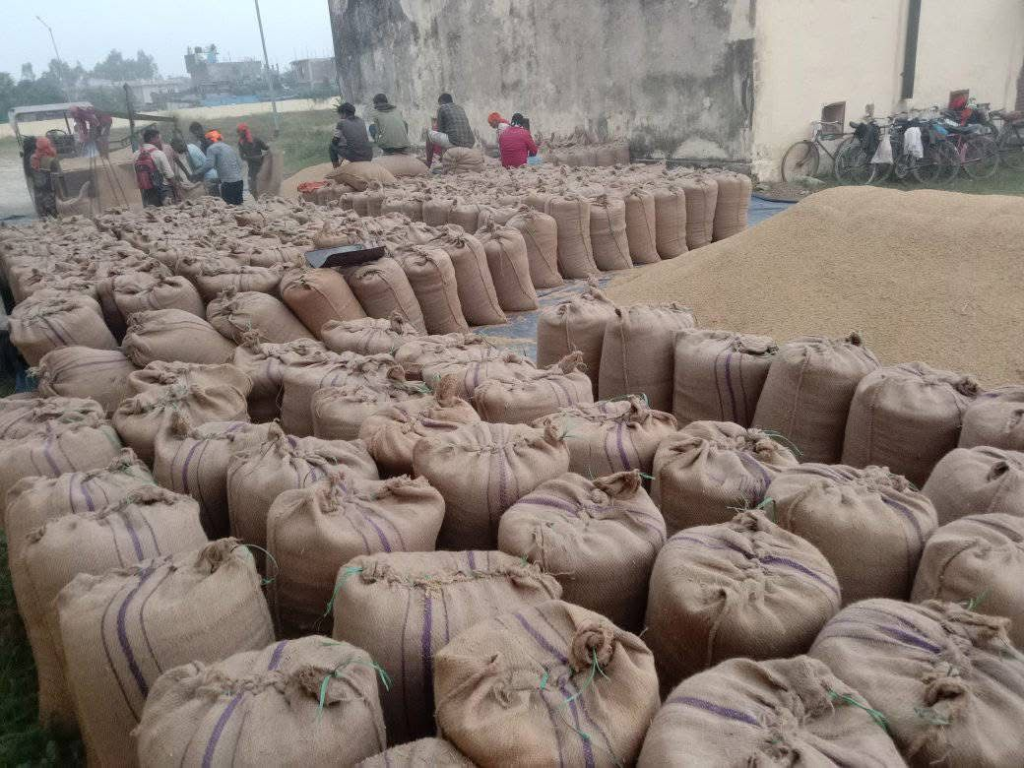 चालू आर्थिक वर्षमा भित्रियो साढे ३२ अर्बको धानचामल