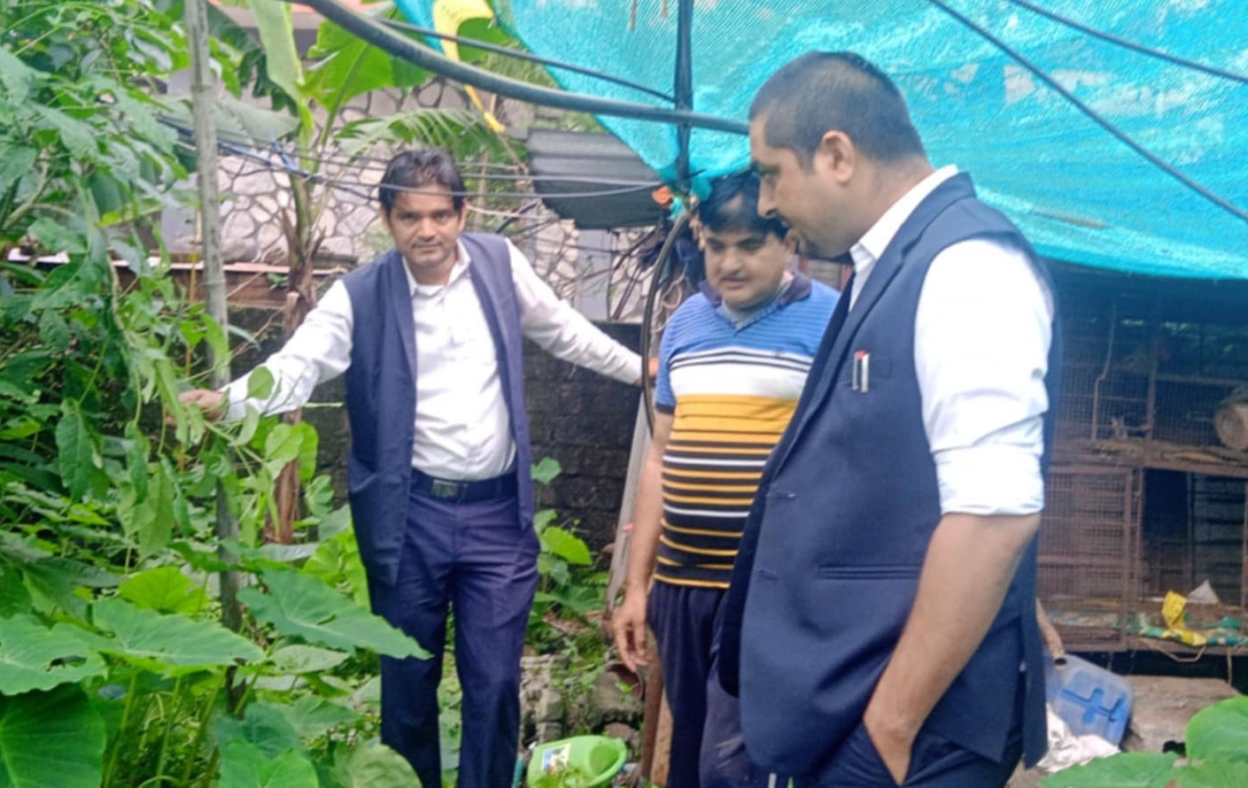 सिप्लीकान खेतीलाई पोखराको नयाँ सम्भावनाका रूपमा विकास गर्ने तयारी