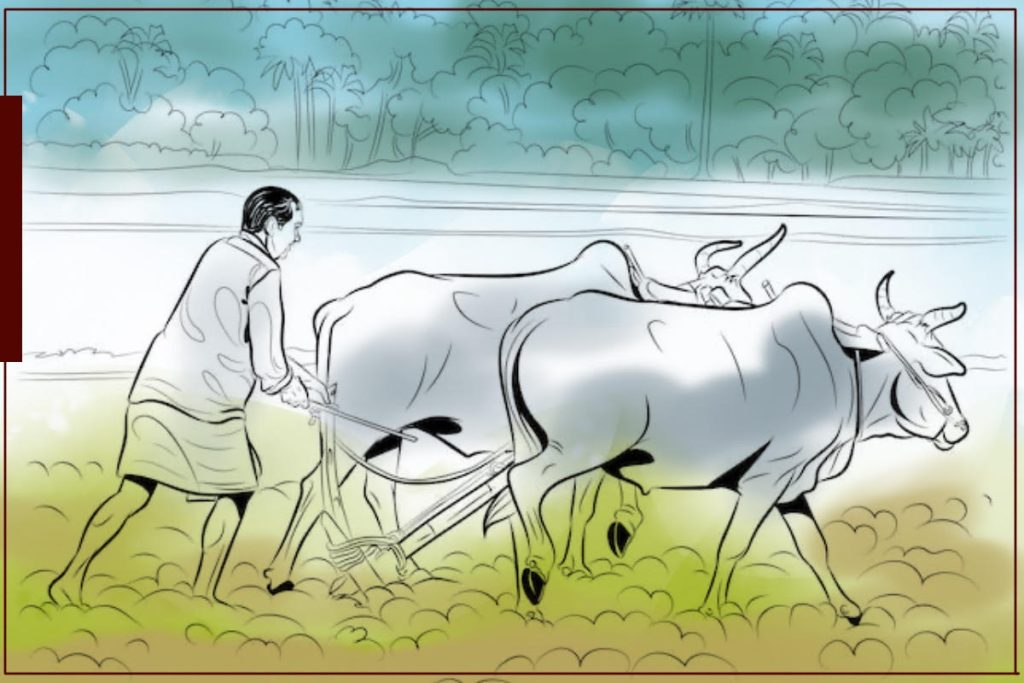 देशभरका २६ लाख किसानको सूचीकरण, थप १५ लाखलाई सूचीकृत गरिने