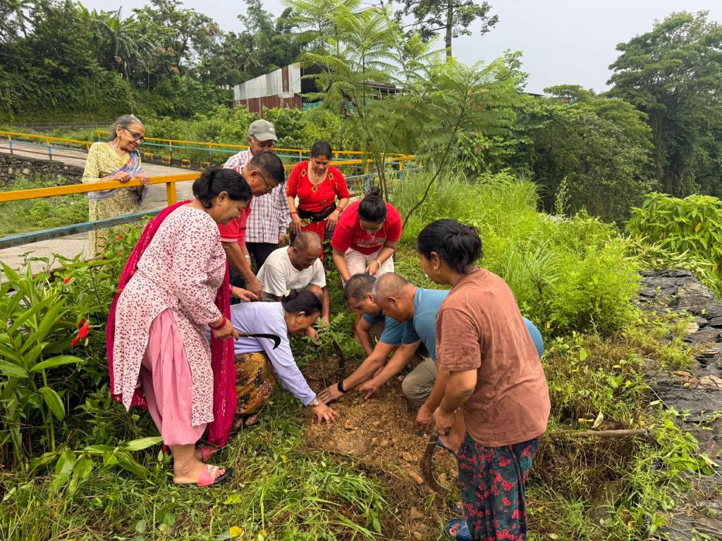 अमृता पाण्डेको २२औँ स्मृति दिवसमा वृक्षरोपण